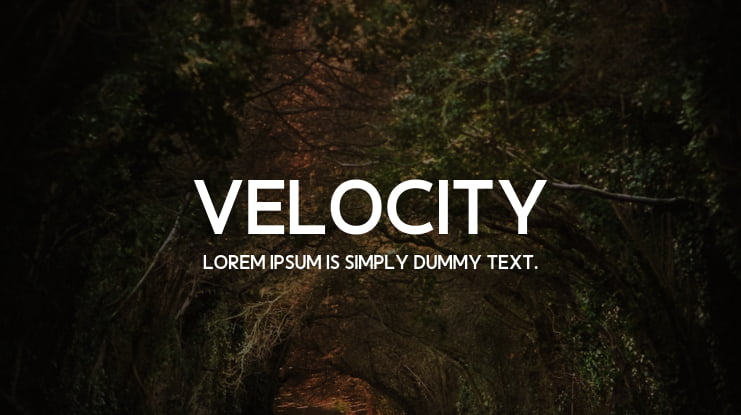 Velocity Font