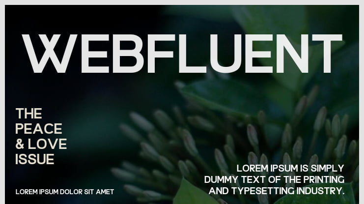 Webfluent Font