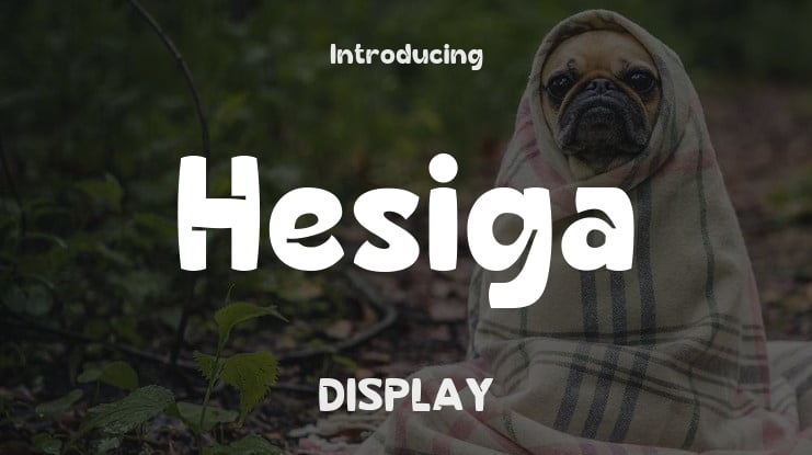 Hesiga Font