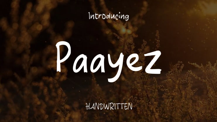 Paayez Font