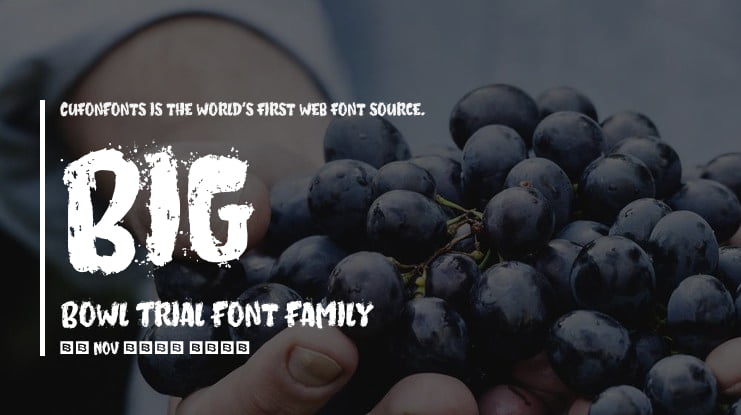 Big Bowl Trial Font