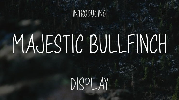 Majestic Bullfinch Font