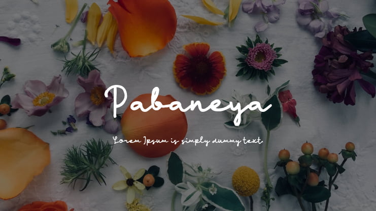 Pabaneya Font