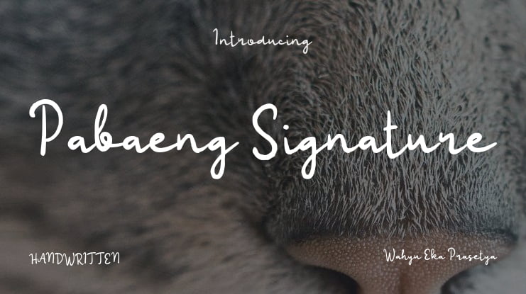 Pabaeng Signature Font