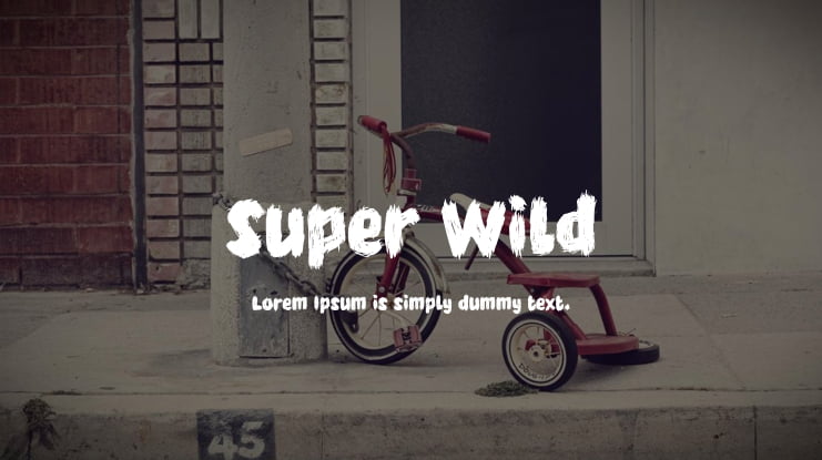 Super Wild Font