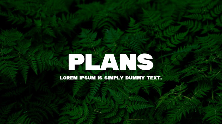 Plans Font