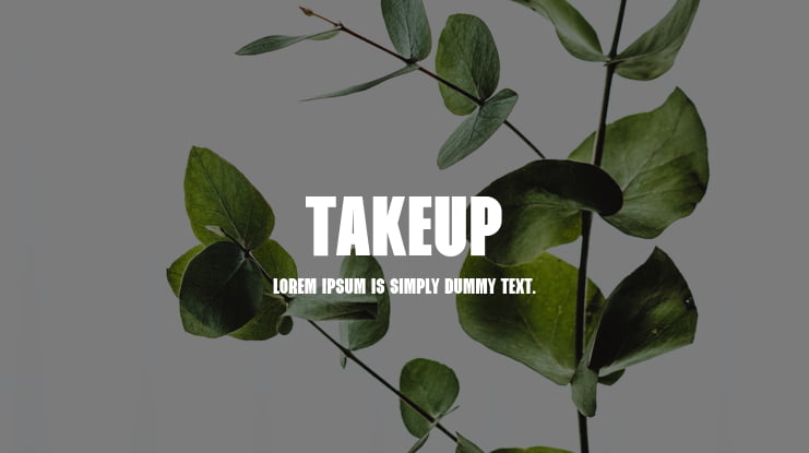 Takeup Font