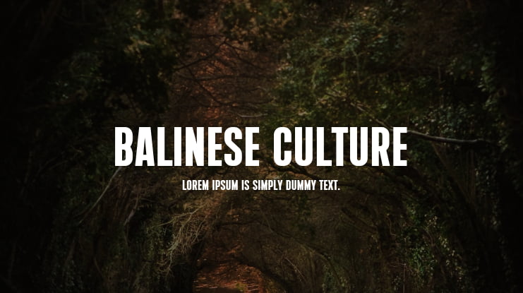 Balinese Culture Font