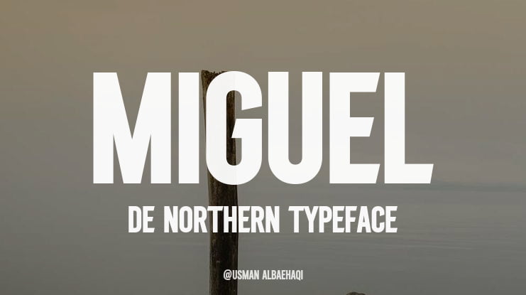 Miguel De Northern Font