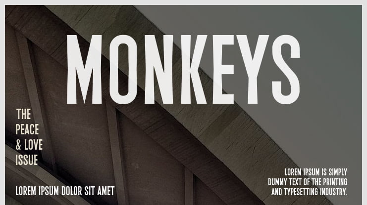 Monkeys Font