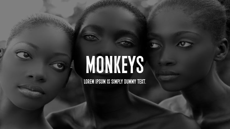 Monkeys Font