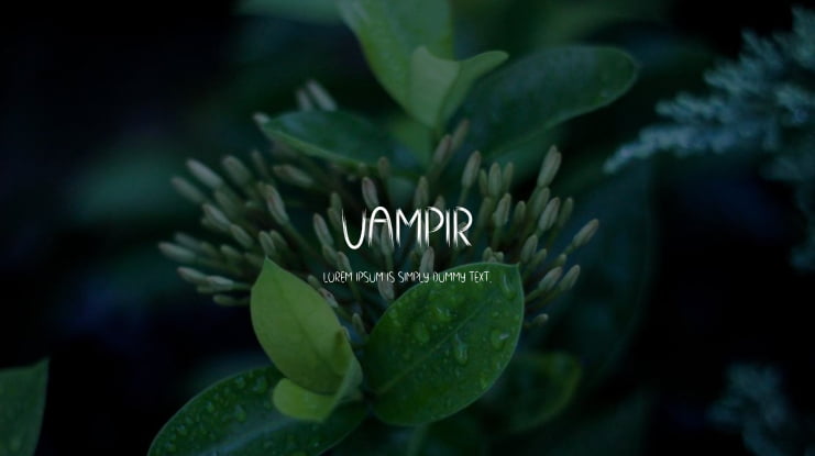 Vampir Font