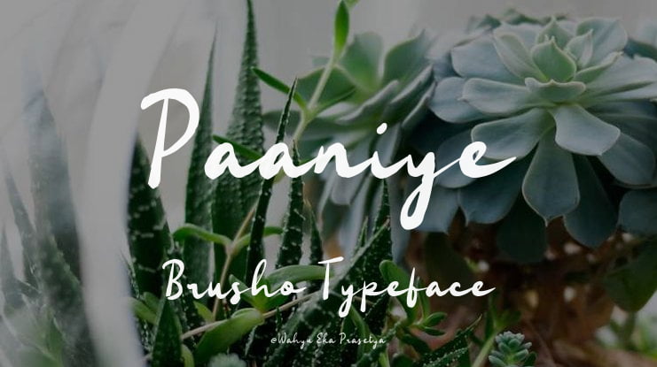 Paaniye Brusho Font