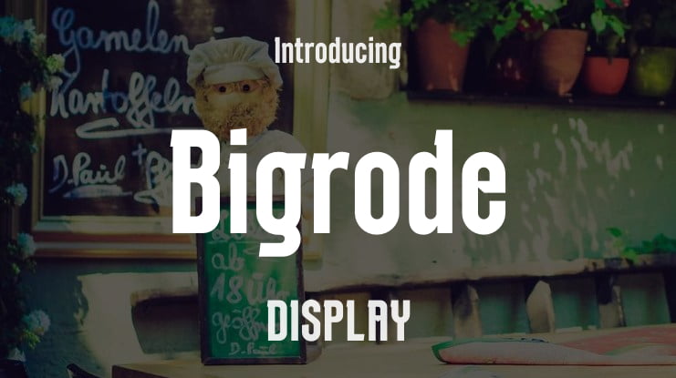 Bigrode Font Family