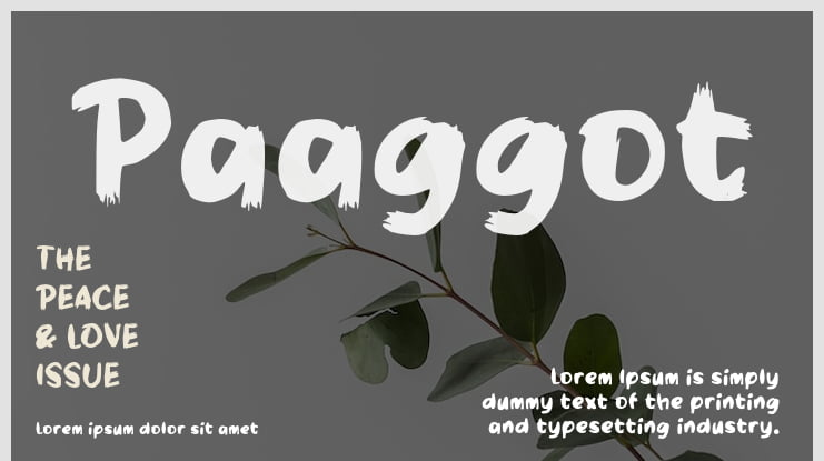 Paaggot Font