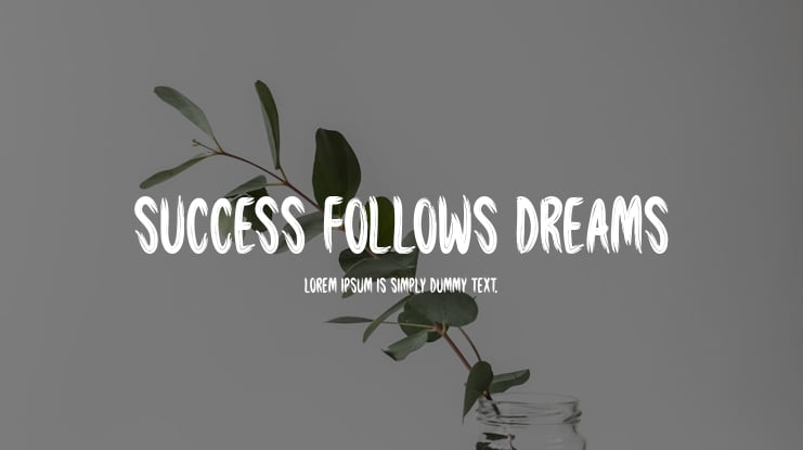 Success Follows Dreams Font