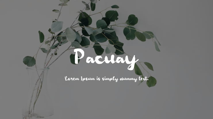 Pacuay Font