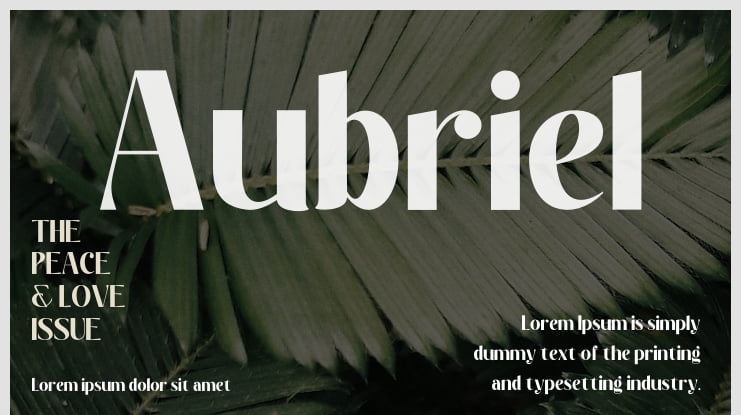 Aubriel Font