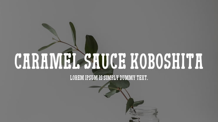 Caramel Sauce Koboshita Font