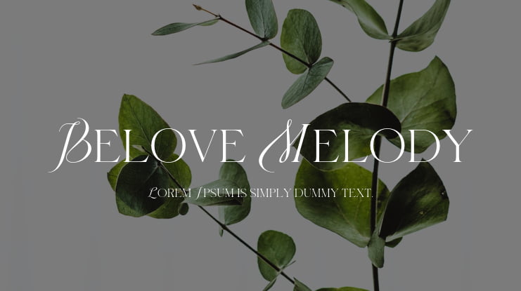 Belove Melody Font