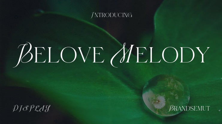 Belove Melody Font