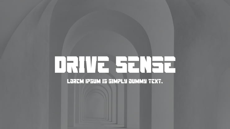 Drive Sense Font Family