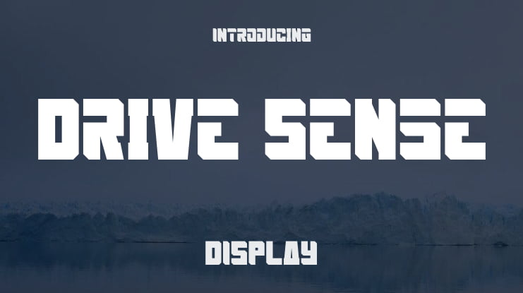 Drive Sense Font Family