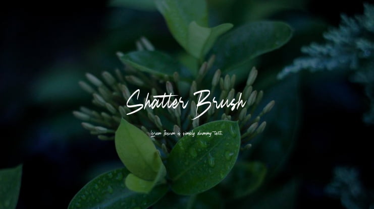 Shatter Brush Font