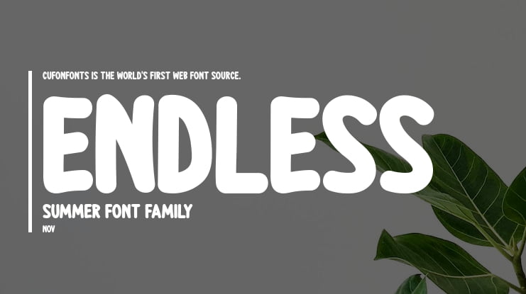 Endless Summer Font