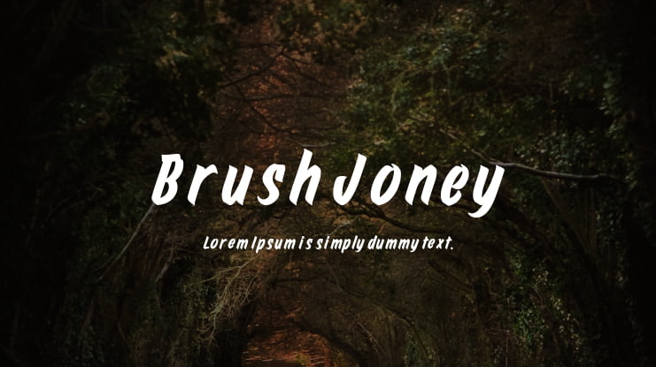 Brush Joney Font