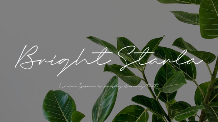 Bright Starla Font