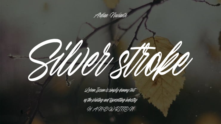 Silver stroke Font