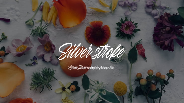 Silver stroke Font