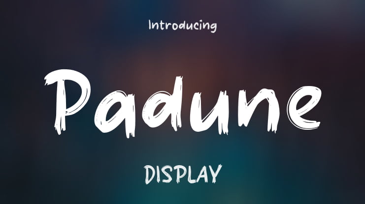 Padune Font