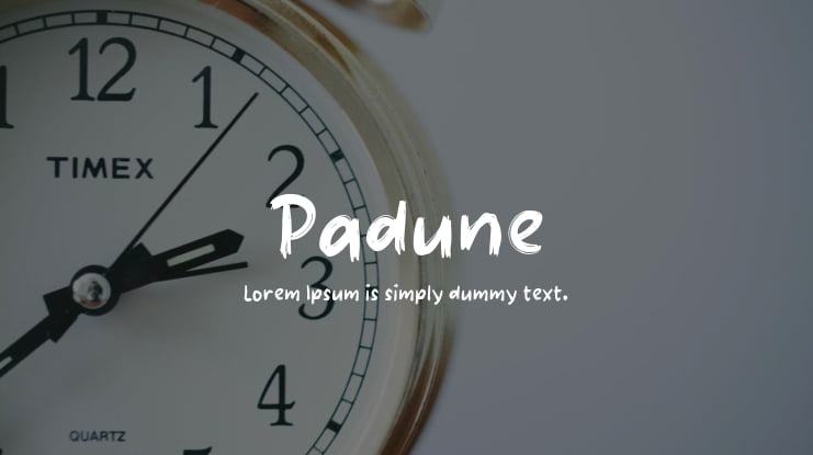 Padune Font