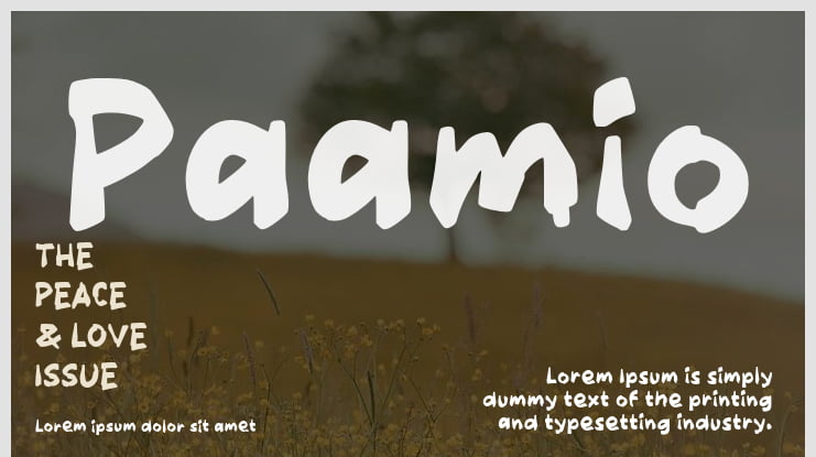 Paamio Font