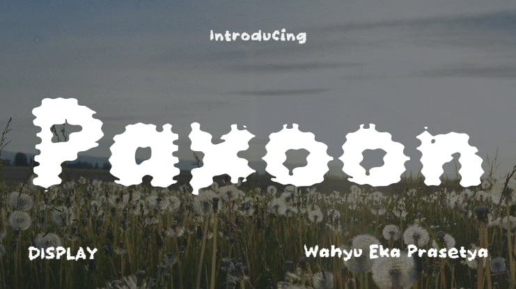 Paxoon Font