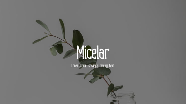 Micelar Font