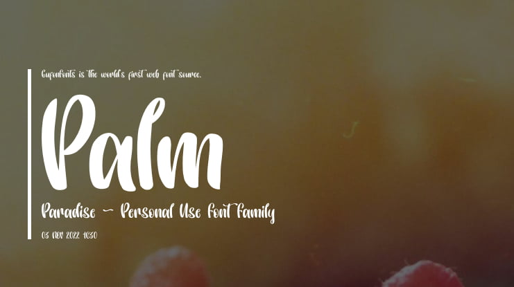 Palm Paradise - Personal Use Font