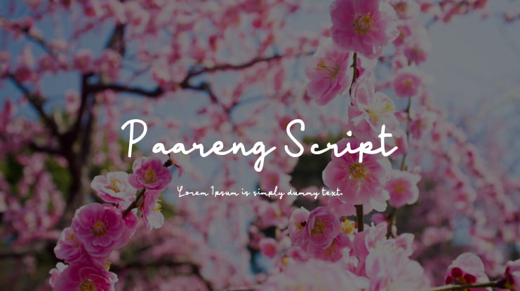 Paareng Script Font