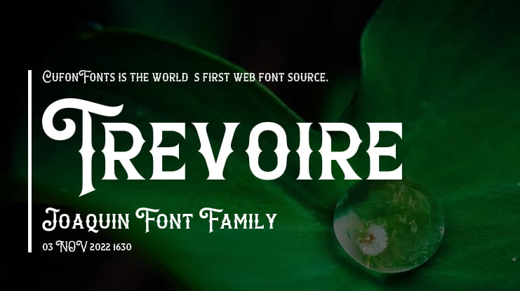 Trevoire Joaquin Font