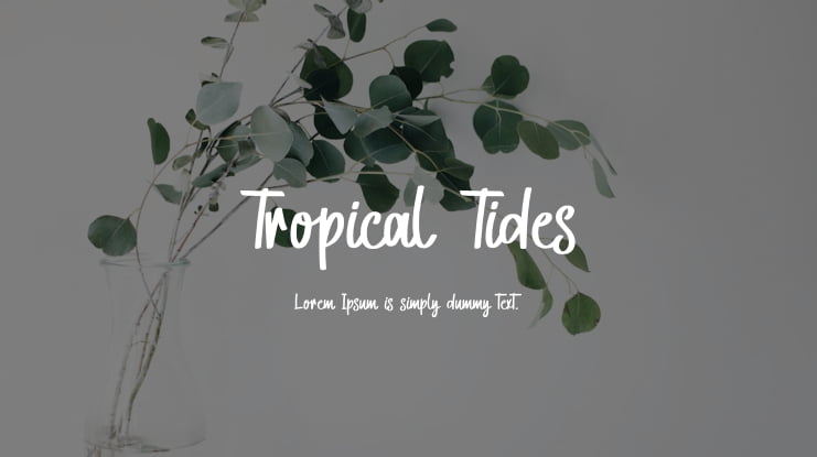 Tropical Tides Font Family