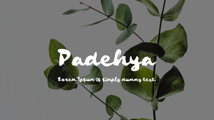 Padehya Font