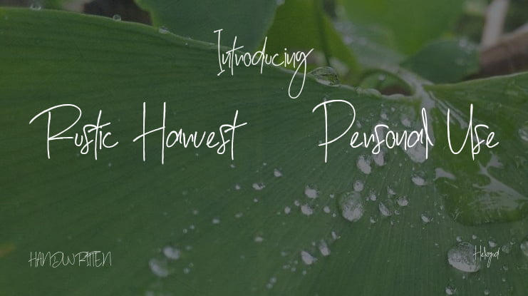 Rustic Harvest - Personal Use Font