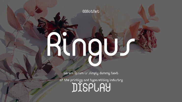 Ringus Font Family