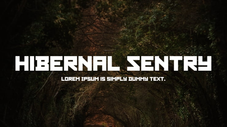 Hibernal Sentry Font Family