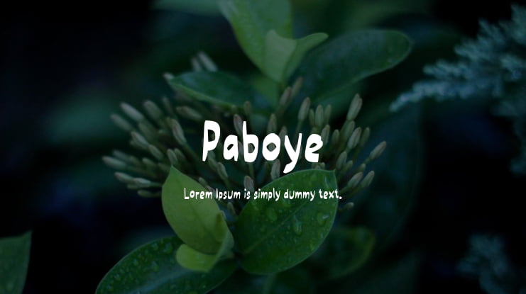 Paboye Font