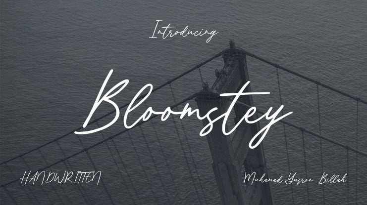 Bloomstey Font