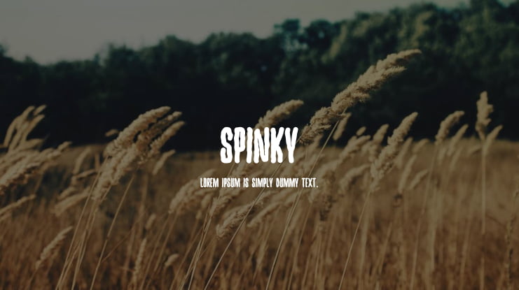 Spinky Font