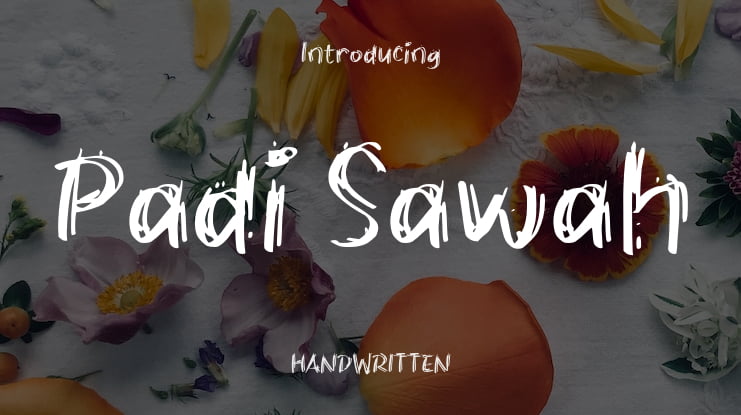 Padi Sawah Font